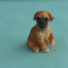 poppenhuis boxer