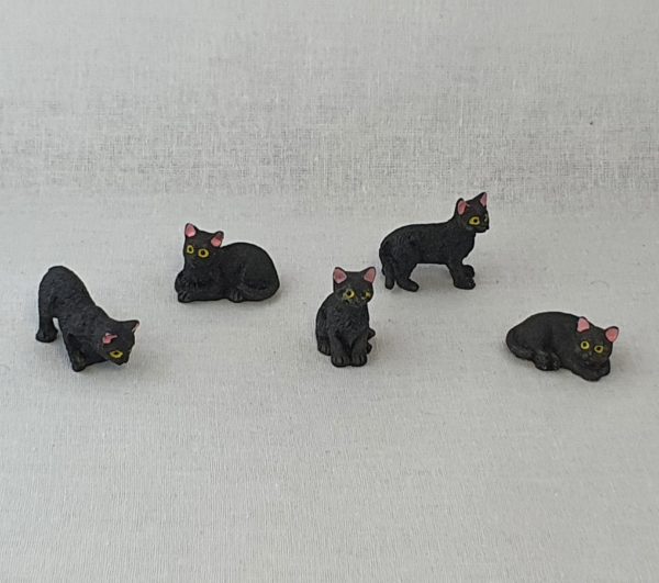 poppenhuis zwarte kat