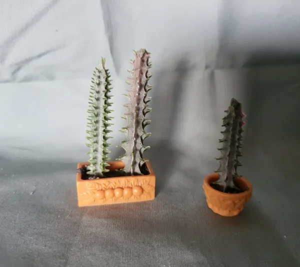 Poppenhuis planten, cactus in plantenbakje
