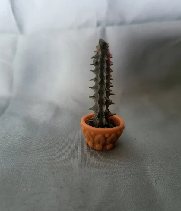 Poppenhuisplanten, cactus in rond plantenbakje